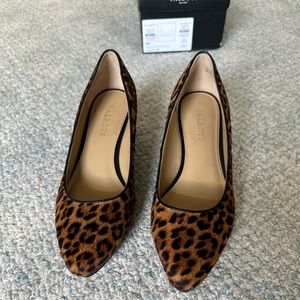 Talbots Wedge Heels: MEDIUM CLASSIC
LACEY 55 in leopard print 🐆 Size 8M